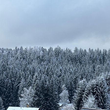 Penzion Verde Rosa Harrachov Eksteriør billede
